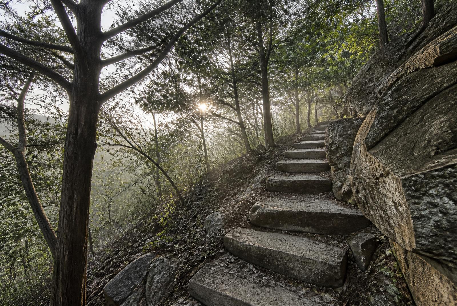 Stone step climb ascending a steep wooded hillside on the Cedar Ridge Preserve trail in North Texas