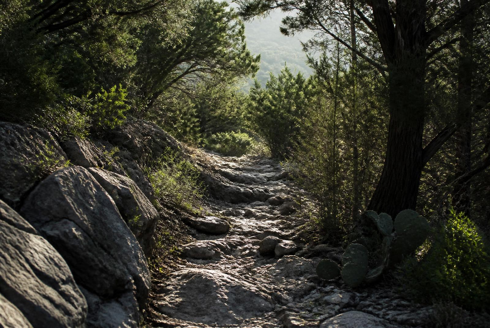 Rocky limestone singletrack trail winding through cedar woodland at Cedar Ridge Preserve in Cedar Hill, Texas